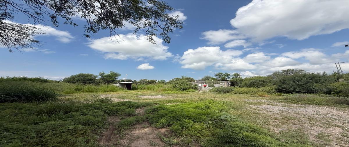 Foto de rancho en venta en  , linares centro, linares, nuevo león, 0 No. 03