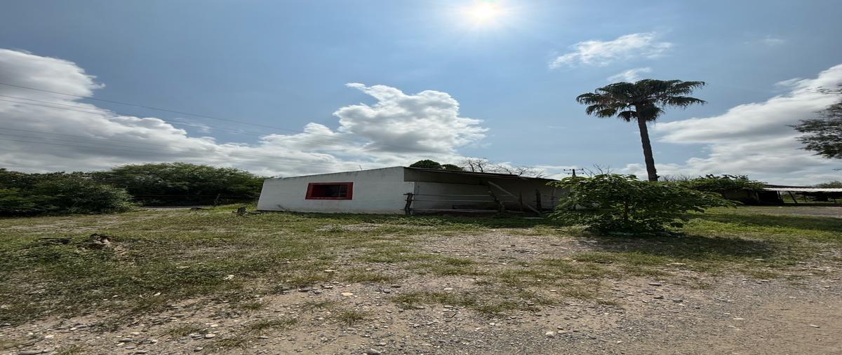 Foto de rancho en venta en  , linares centro, linares, nuevo león, 31454323 No. 05