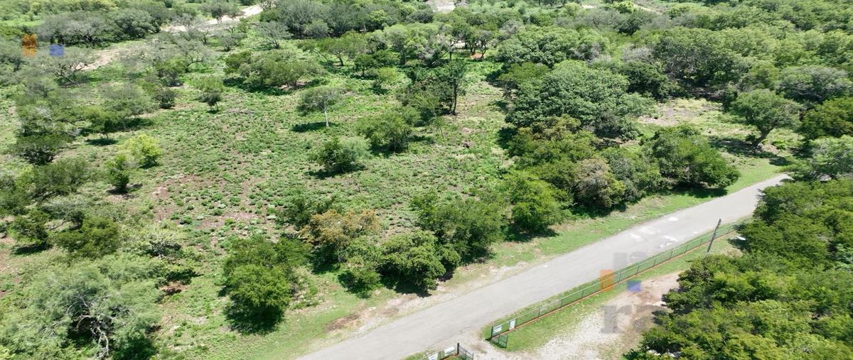 Foto de terreno habitacional en venta en  , linares centro, linares, nuevo león, 0 No. 03