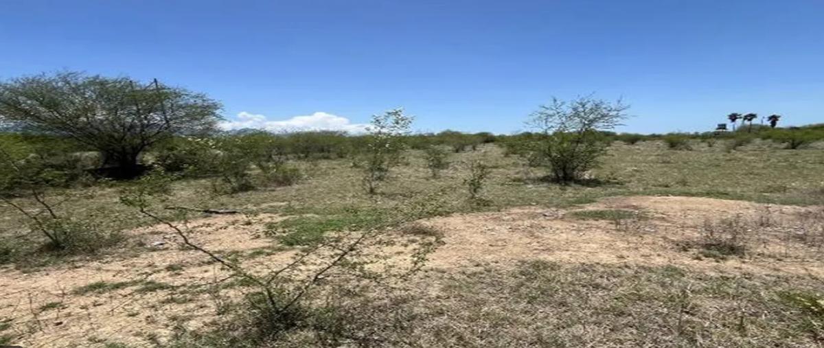 Foto de terreno habitacional en venta en  , linares centro, linares, nuevo león, 0 No. 05