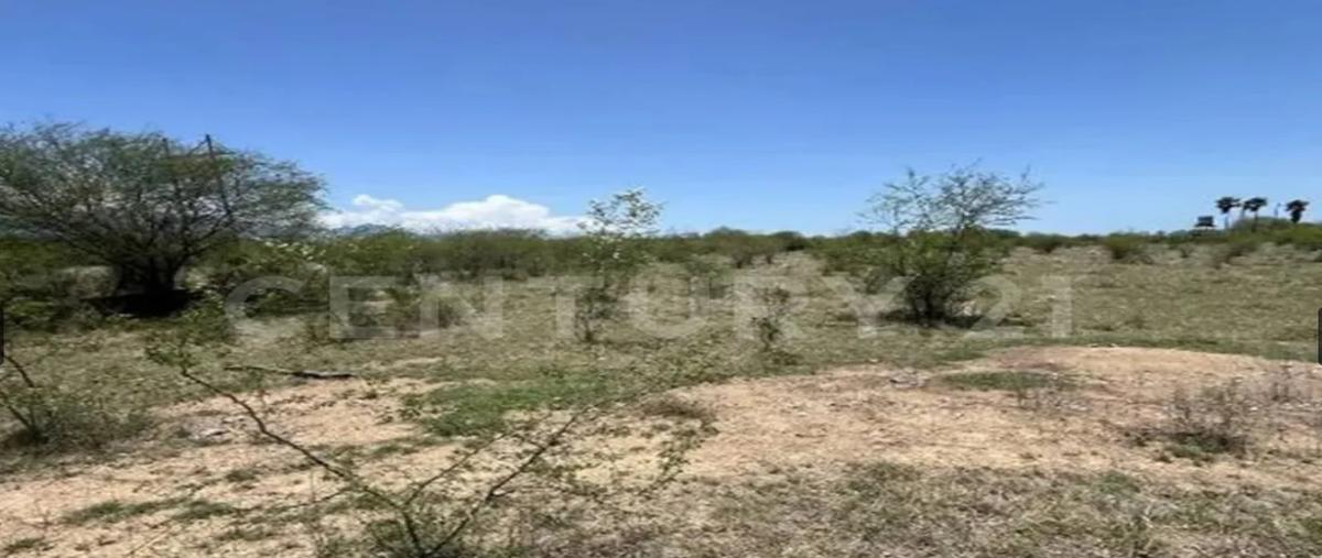 Foto de terreno habitacional en venta en  , linares centro, linares, nuevo león, 0 No. 05