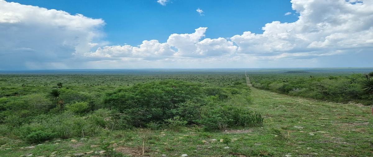 Foto de rancho en linares , linares centro, linares, nuevo león, 30180081 foto 01 Foto de rancho en venta en linares , linares centro, linares, nuevo león, 30180081 No. 01