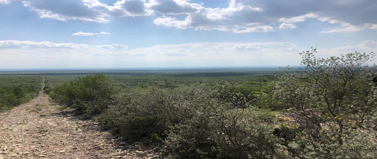 Foto de rancho en linares , linares centro, linares, nuevo león, 30180081 foto 02 Foto de rancho en venta en linares , linares centro, linares, nuevo león, 30180081 No. 02