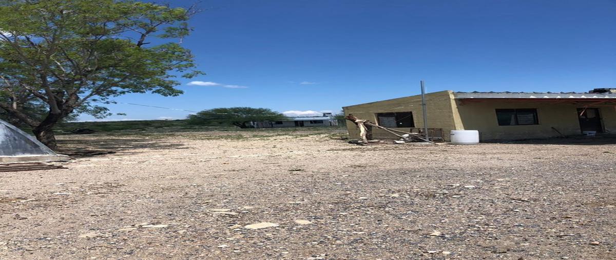 Foto de rancho en linares , linares centro, linares, nuevo león, 30180081 foto 05 Foto de rancho en venta en linares , linares centro, linares, nuevo león, 30180081 No. 05