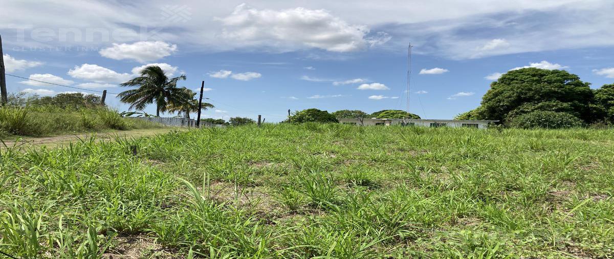 Foto de terreno habitacional en venta en  , lindavista, pueblo viejo, veracruz de ignacio de la llave, 0 No. 05