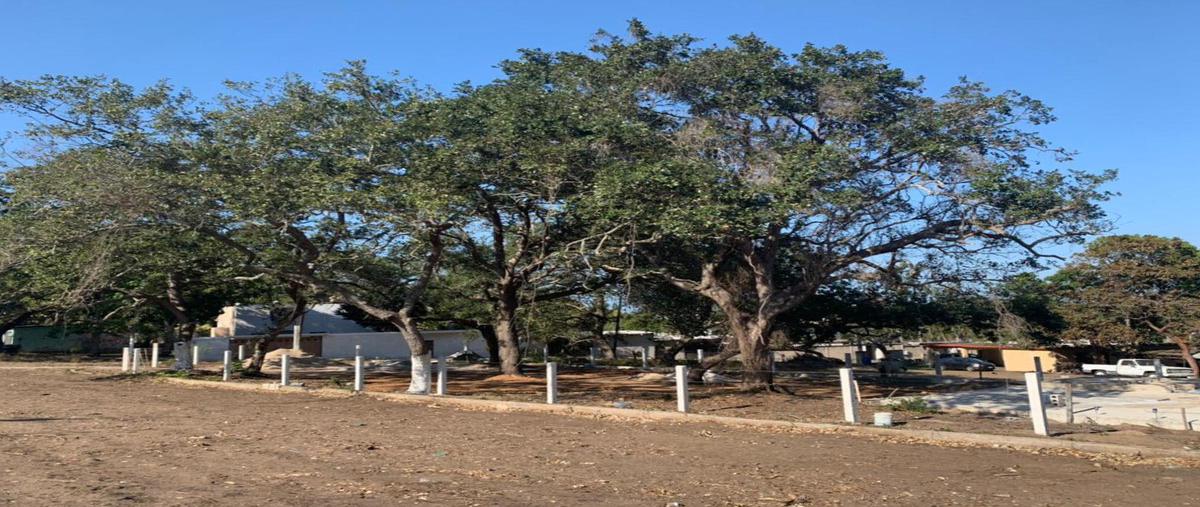 Foto de terreno habitacional en venta en  , lindavista, pueblo viejo, veracruz de ignacio de la llave, 0 No. 03