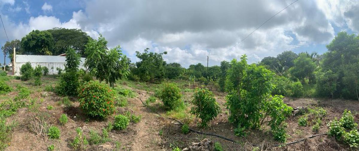 Foto de terreno habitacional en , lindavista, pueblo viejo, veracruz de ignacio de la llave, 0 foto 01 Foto de terreno habitacional en venta en , lindavista, pueblo viejo, veracruz de ignacio de la llave, 0 No. 01