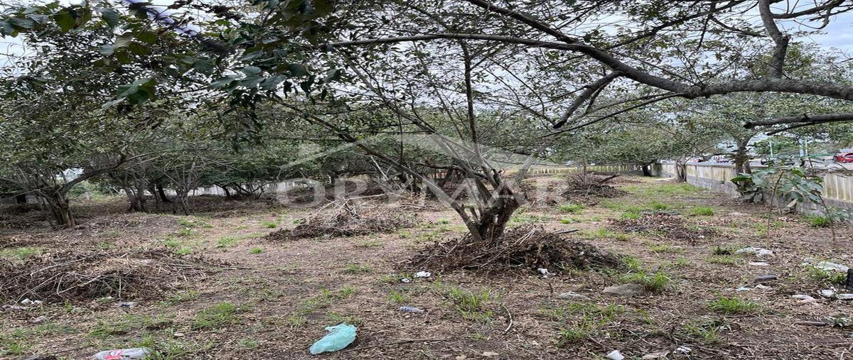 Foto de terreno habitacional en renta en  , lindavista, pueblo viejo, veracruz de ignacio de la llave, 0 No. 04