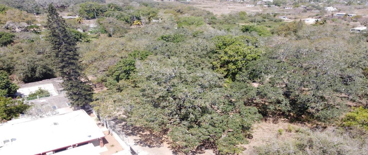 Foto de terreno habitacional en venta en  , lindavista, pueblo viejo, veracruz de ignacio de la llave, 26520584 No. 03