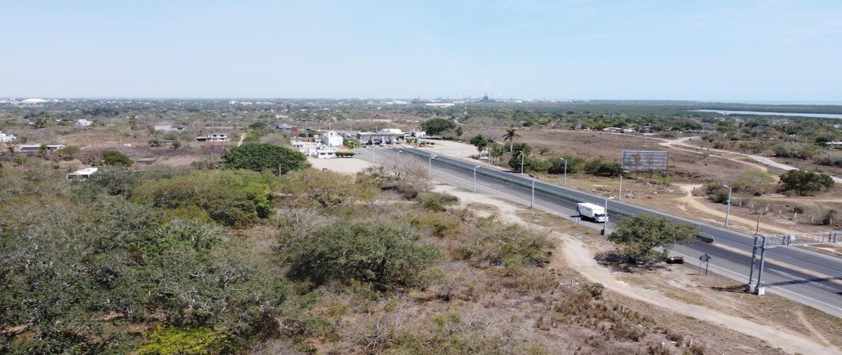 Foto de terreno habitacional en venta en  , lindavista, pueblo viejo, veracruz de ignacio de la llave, 26520584 No. 05