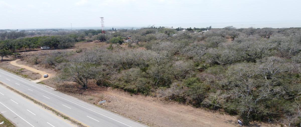 Foto de terreno habitacional en , lindavista, pueblo viejo, veracruz de ignacio de la llave, 0 foto 04 Foto de terreno habitacional en venta en , lindavista, pueblo viejo, veracruz de ignacio de la llave, 0 No. 04
