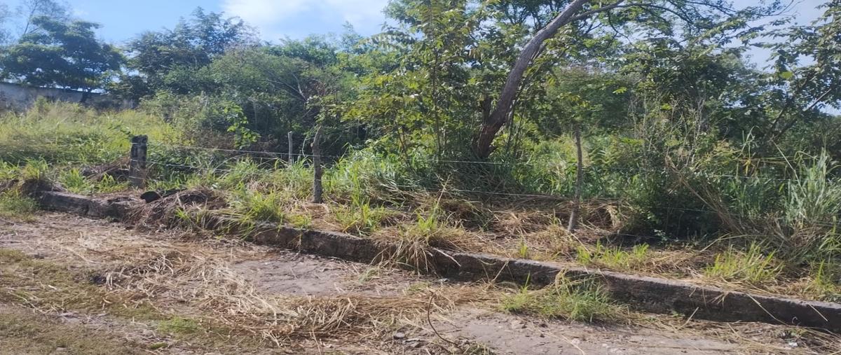 Foto de terreno habitacional en , lindavista, pueblo viejo, veracruz de ignacio de la llave, 30536872 foto 02 Foto de terreno habitacional en venta en , lindavista, pueblo viejo, veracruz de ignacio de la llave, 30536872 No. 02