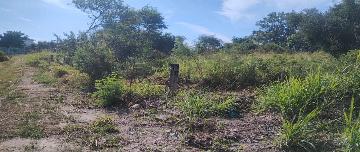 Foto de terreno habitacional en , lindavista, pueblo viejo, veracruz de ignacio de la llave, 30536872 foto 03 Foto de terreno habitacional en venta en , lindavista, pueblo viejo, veracruz de ignacio de la llave, 30536872 No. 03