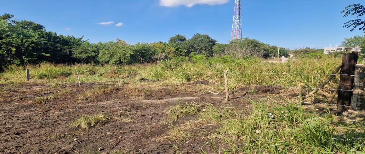 Foto de terreno habitacional en , lindavista, pueblo viejo, veracruz de ignacio de la llave, 30536872 foto 04 Foto de terreno habitacional en venta en , lindavista, pueblo viejo, veracruz de ignacio de la llave, 30536872 No. 04