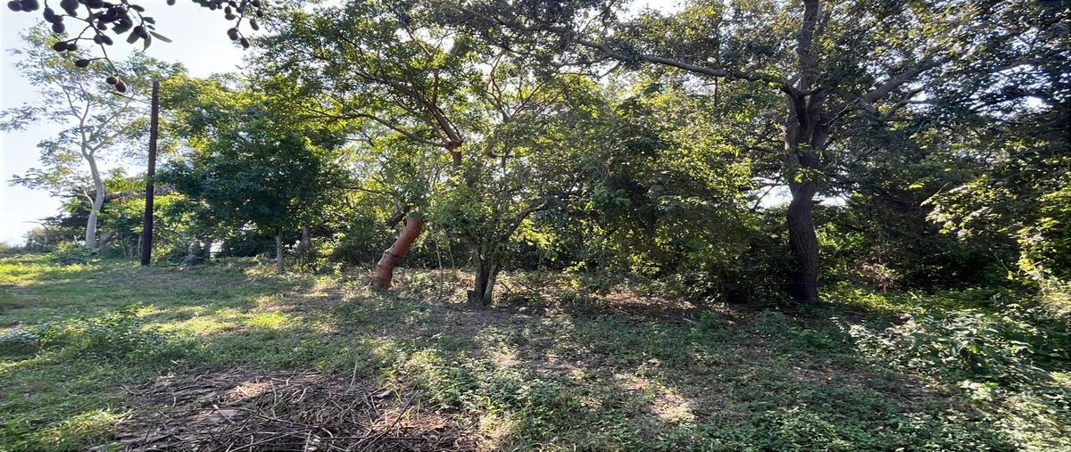 Foto de terreno habitacional en venta en  , lindavista, pueblo viejo, veracruz de ignacio de la llave, 0 No. 03