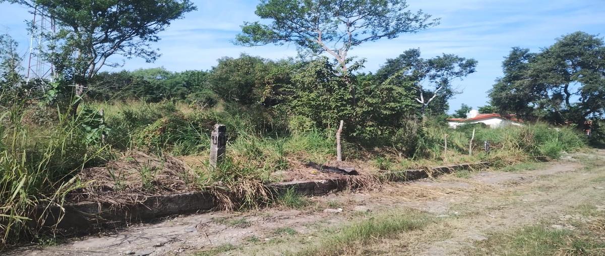 Foto de terreno habitacional en venta en  , lindavista, pueblo viejo, veracruz de ignacio de la llave, 0 No. 05