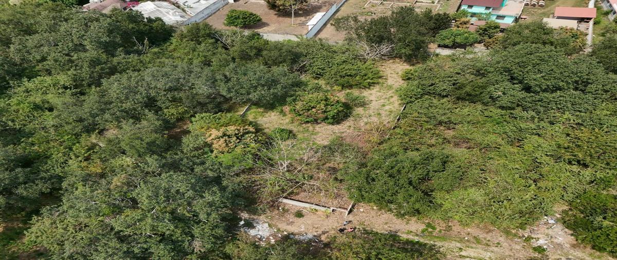 Foto de terreno habitacional en , lindavista, pueblo viejo, veracruz de ignacio de la llave, 0 foto 01 Foto de terreno habitacional en venta en , lindavista, pueblo viejo, veracruz de ignacio de la llave, 0 No. 01