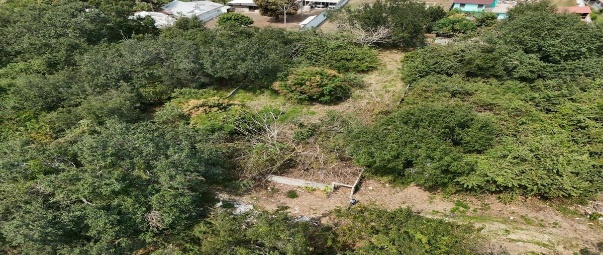 Foto de terreno habitacional en , lindavista, pueblo viejo, veracruz de ignacio de la llave, 0 foto 02 Foto de terreno habitacional en venta en , lindavista, pueblo viejo, veracruz de ignacio de la llave, 0 No. 02