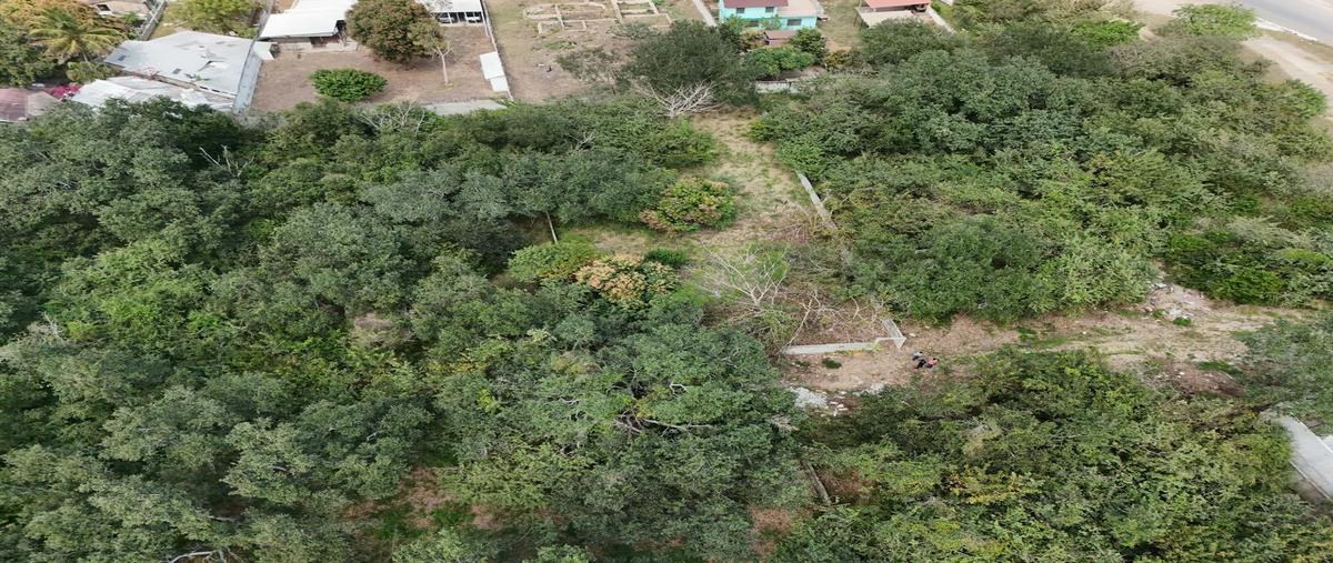 Foto de terreno habitacional en , lindavista, pueblo viejo, veracruz de ignacio de la llave, 0 foto 05 Foto de terreno habitacional en venta en , lindavista, pueblo viejo, veracruz de ignacio de la llave, 0 No. 05