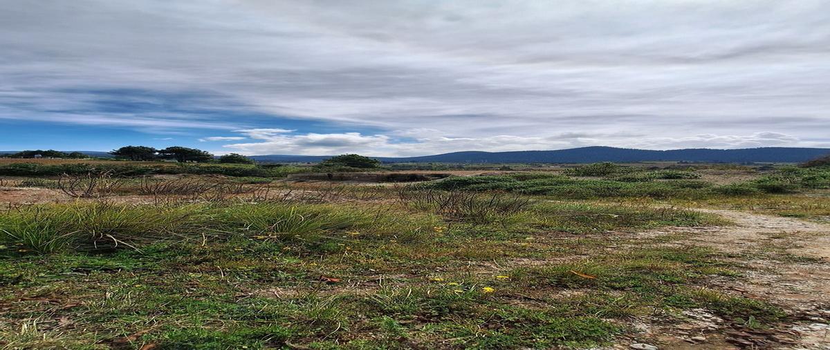 Foto de terreno habitacional en lindero de villa victoriaamanalco y almoloya , el capulín primera sección, amanalco, méxico, 28851259 foto 05 Foto de terreno habitacional en venta en lindero de villa victoriaamanalco y almoloya , el capulín primera sección, amanalco, méxico, 28851259 No. 05