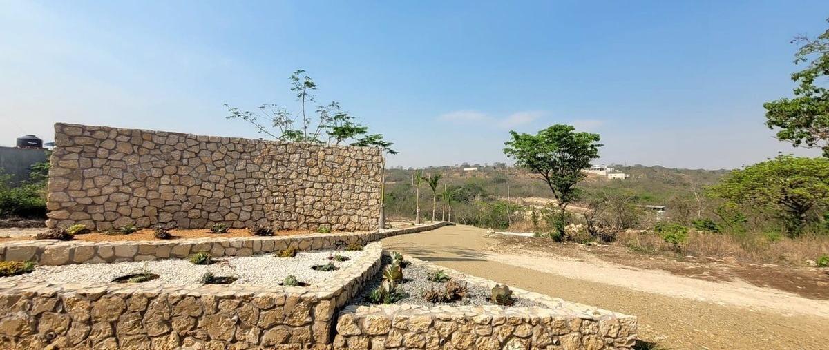 Foto de terreno habitacional en venta en  , lindos aires, berriozábal, chiapas, 0 No. 03