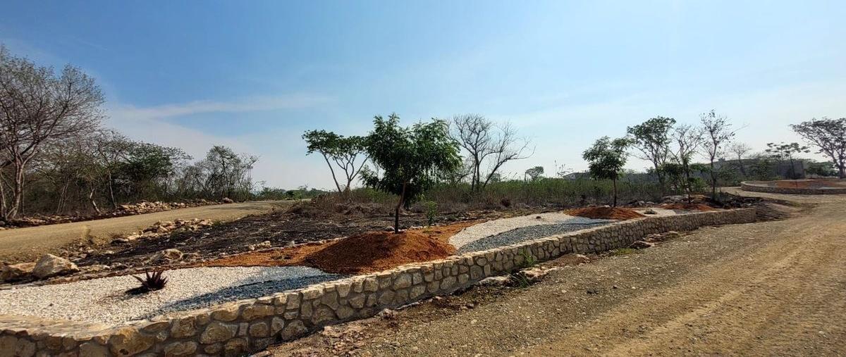 Foto de terreno habitacional en venta en  , lindos aires, berriozábal, chiapas, 0 No. 04