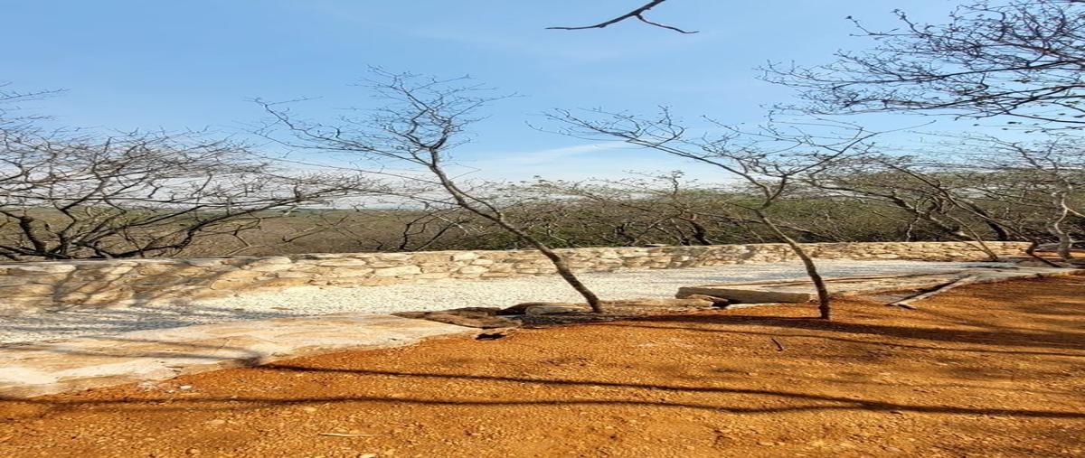 Foto de terreno habitacional en venta en  , lindos aires, berriozábal, chiapas, 0 No. 05