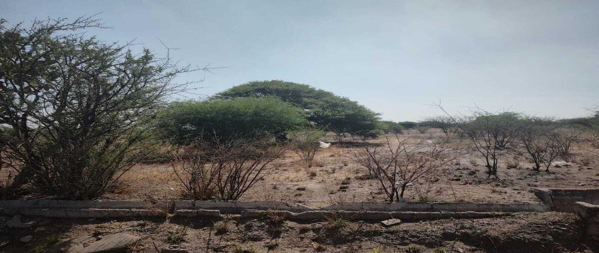 Foto de terreno habitacional en venta en lira , la lira, pedro escobedo, querétaro, 0 No. 04