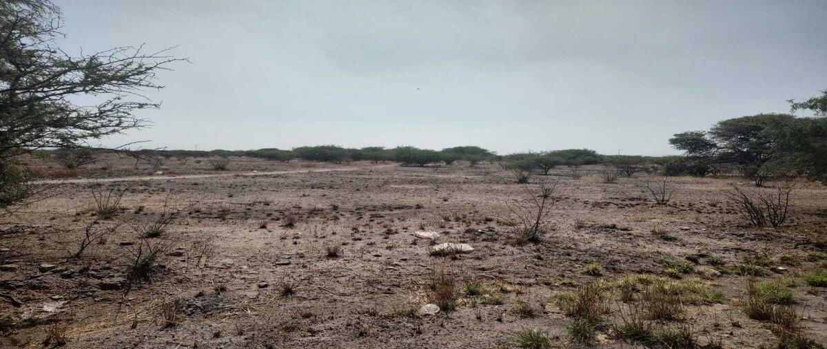 Foto de terreno habitacional en venta en lira , la lira, pedro escobedo, querétaro, 0 No. 05