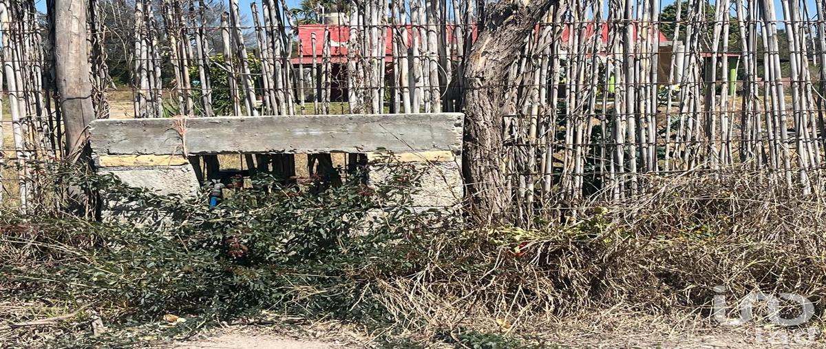 Foto de terreno comercial en venta en lizardi 566, precursores, rioverde, san luis potosí, 30918438 No. 04