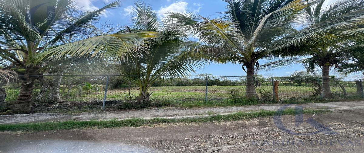 Foto de terreno habitacional en venta en  , llano de bustos, ozuluama de mascareñas, veracruz de ignacio de la llave, 29818864 No. 03