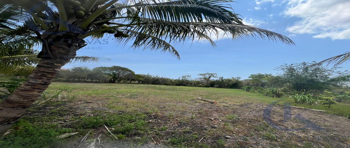 Foto de terreno habitacional en , llano de bustos, ozuluama de mascareñas, veracruz de ignacio de la llave, 29818864 foto 04 Foto de terreno habitacional en venta en , llano de bustos, ozuluama de mascareñas, veracruz de ignacio de la llave, 29818864 No. 04