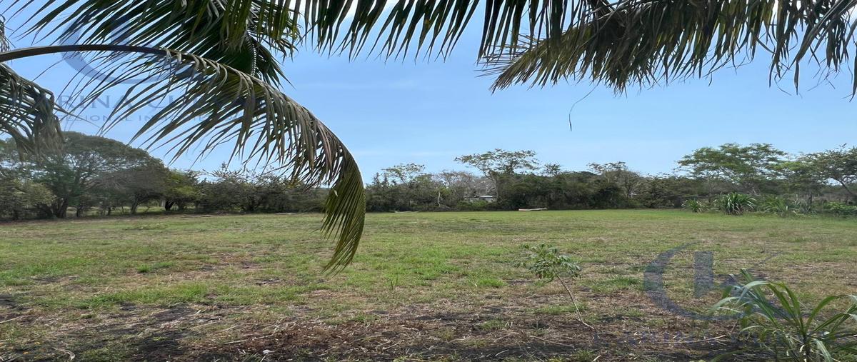 Foto de terreno habitacional en venta en  , llano de bustos, ozuluama de mascareñas, veracruz de ignacio de la llave, 29818864 No. 05
