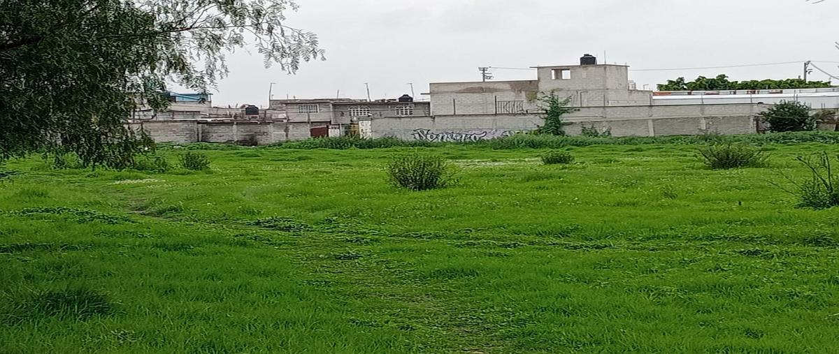 Foto de terreno habitacional en venta en  , llano de los báez, ecatepec de morelos, méxico, 0 No. 05