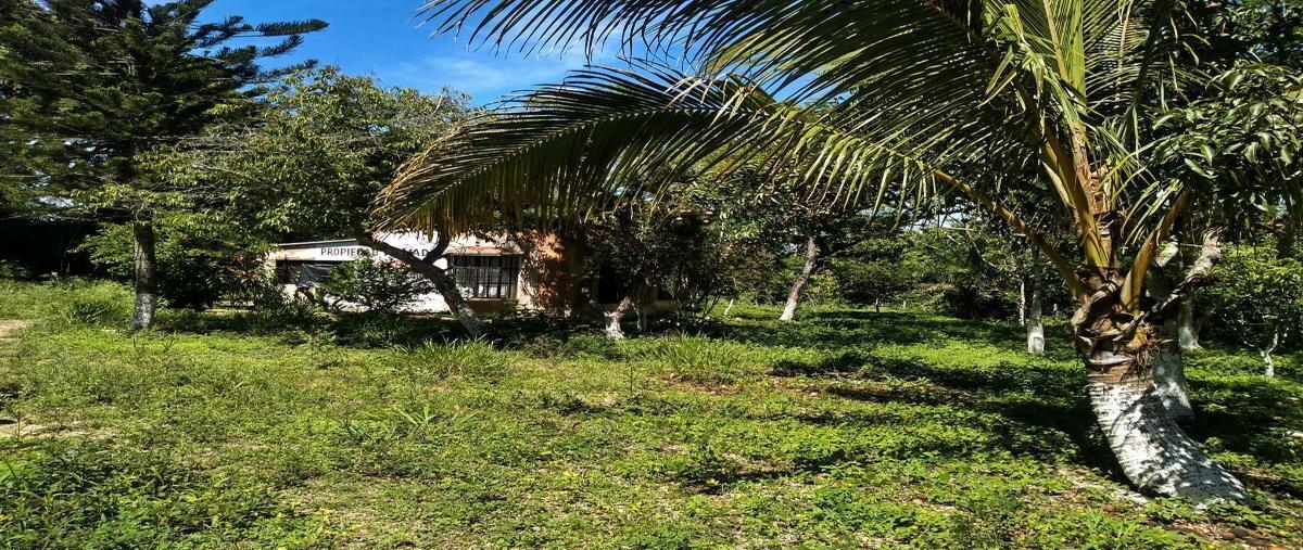 Foto de terreno habitacional en venta en llano san juan , san miguel, ocozocoautla de espinosa, chiapas, 0 No. 05