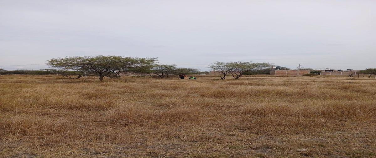 Foto de terreno habitacional en venta en  , llanos de sahuayo, sahuayo, michoacán de ocampo, 0 No. 04