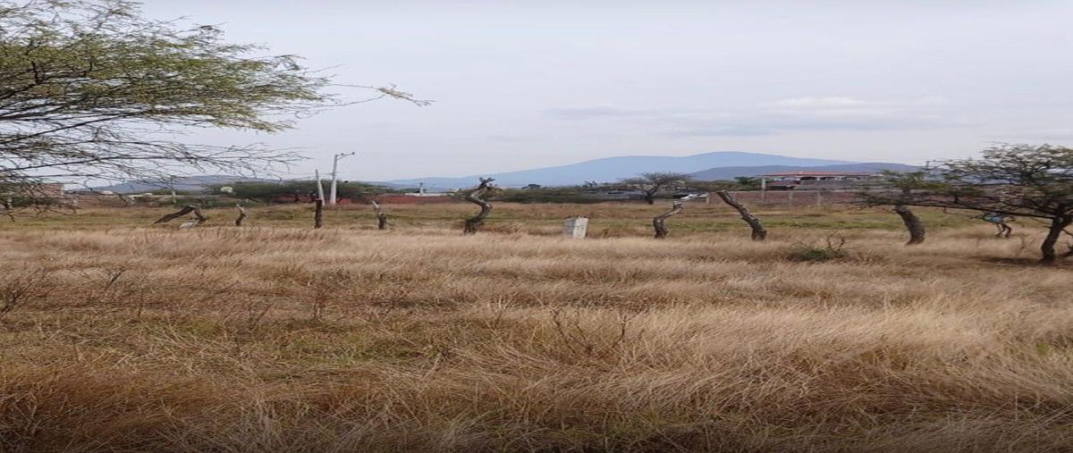 Foto de terreno habitacional en venta en  , llanos de sahuayo, sahuayo, michoacán de ocampo, 0 No. 05
