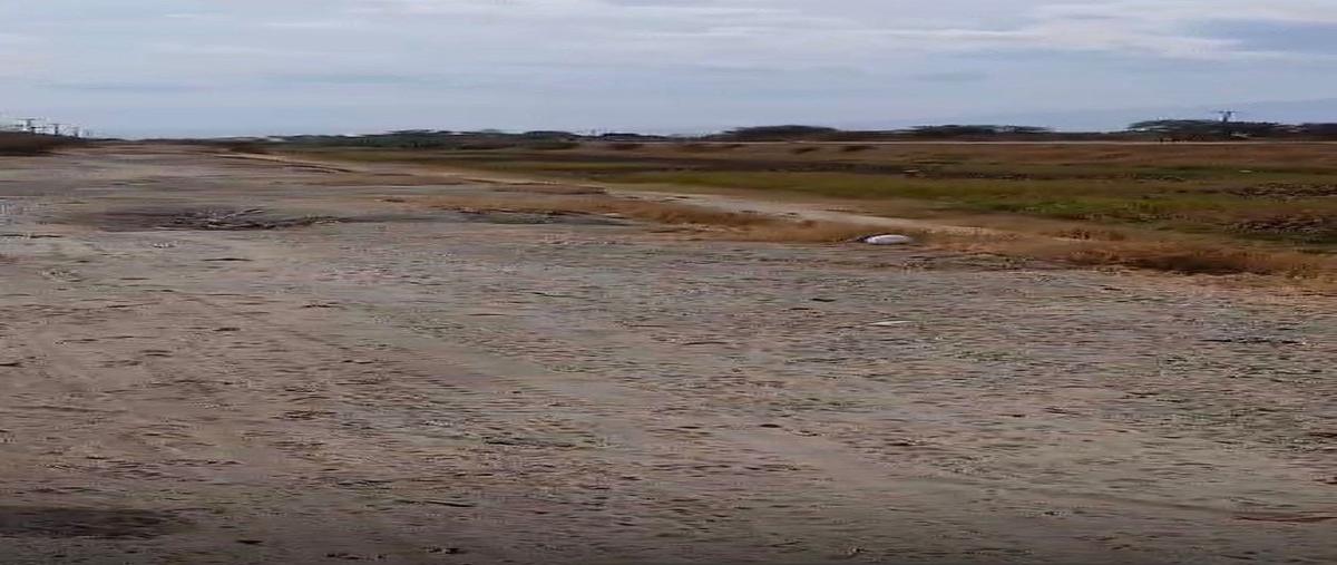 Foto de terreno habitacional en venta en  , llanos de sahuayo, sahuayo, michoacán de ocampo, 0 No. 04