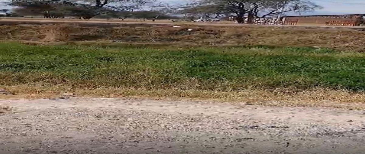 Foto de terreno habitacional en venta en  , llanos de sahuayo, sahuayo, michoacán de ocampo, 0 No. 05