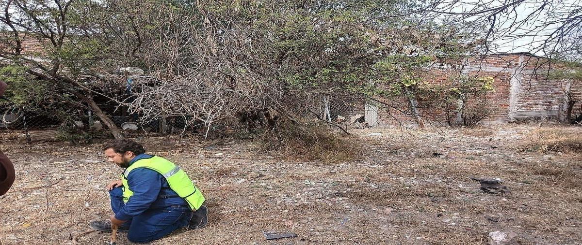 Foto de terreno habitacional en venta en  , llanos de sahuayo, sahuayo, michoacán de ocampo, 0 No. 03