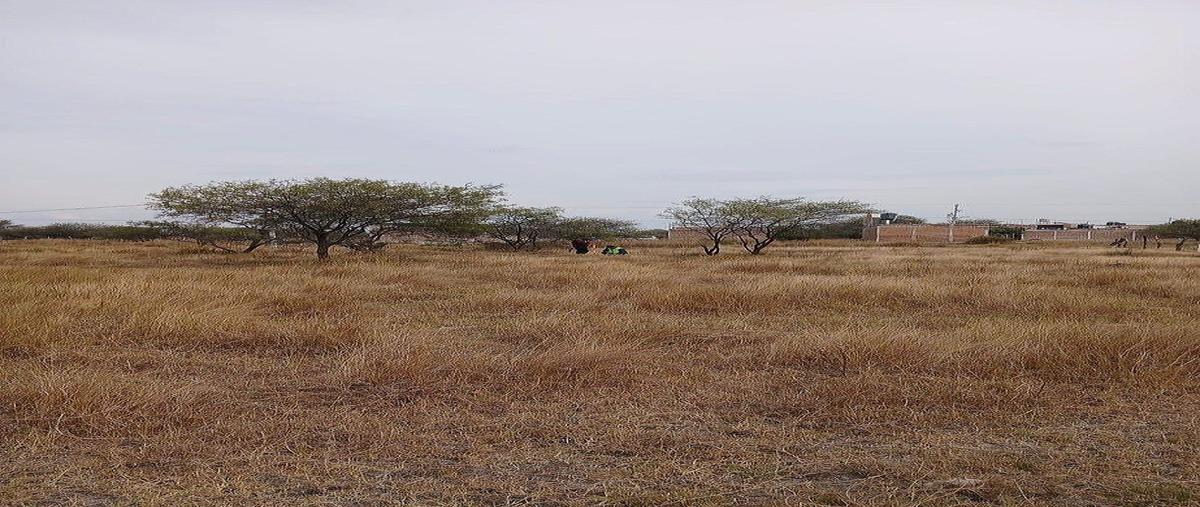 Foto de terreno habitacional en venta en  , llanos de sahuayo, sahuayo, michoacán de ocampo, 0 No. 04