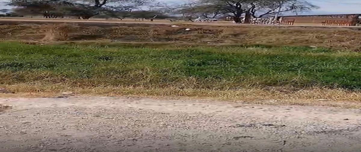 Foto de terreno habitacional en venta en  , llanos de sahuayo, sahuayo, michoacán de ocampo, 0 No. 05