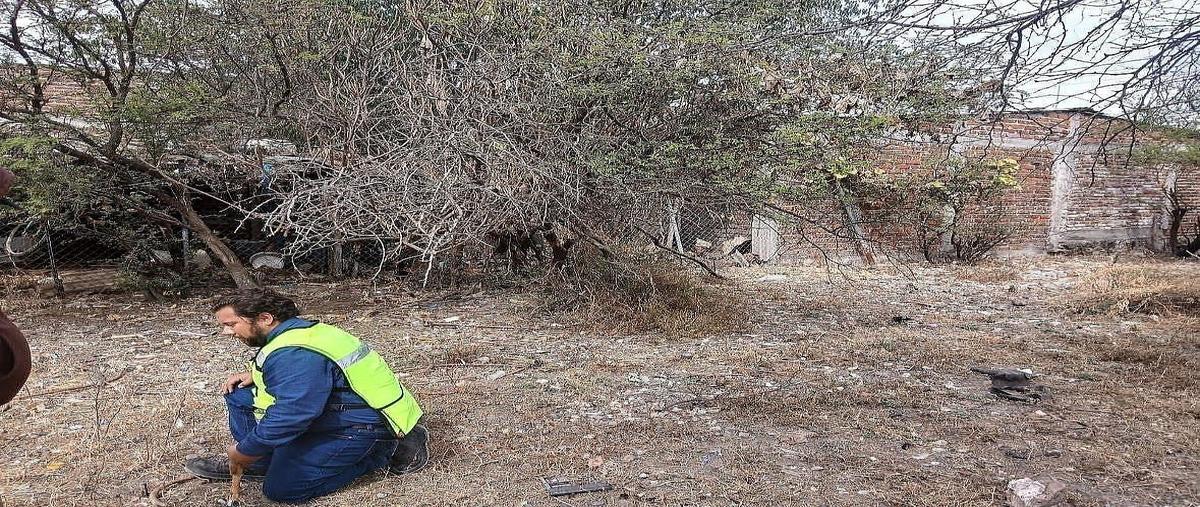 Foto de terreno habitacional en venta en  , llanos de sahuayo, sahuayo, michoacán de ocampo, 0 No. 03