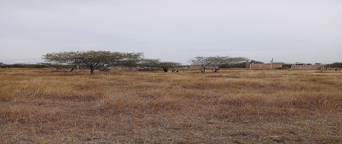 Foto de terreno habitacional en venta en  , llanos de sahuayo, sahuayo, michoacán de ocampo, 0 No. 04