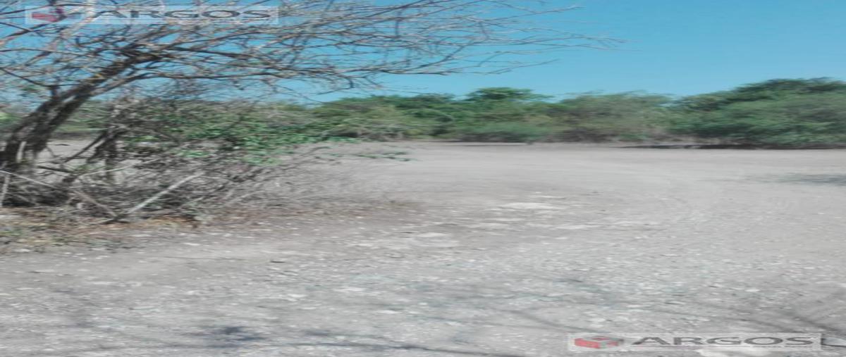 Foto de terreno habitacional en venta en  , llera de canales, llera, tamaulipas, 26393815 No. 03