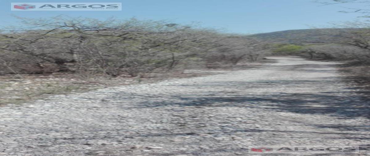 Foto de terreno habitacional en venta en  , llera de canales, llera, tamaulipas, 0 No. 04