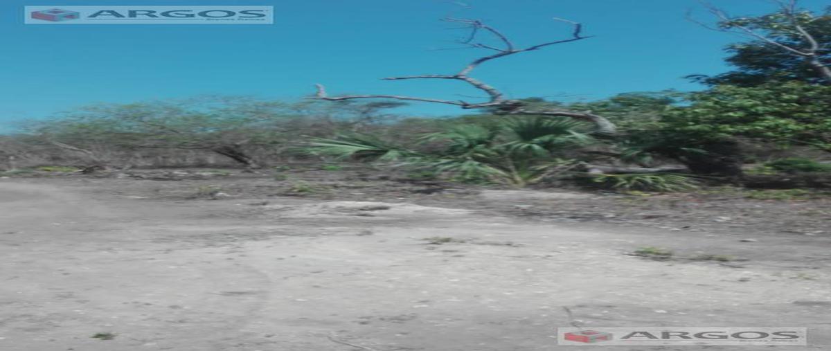 Foto de terreno habitacional en venta en  , llera de canales, llera, tamaulipas, 0 No. 05