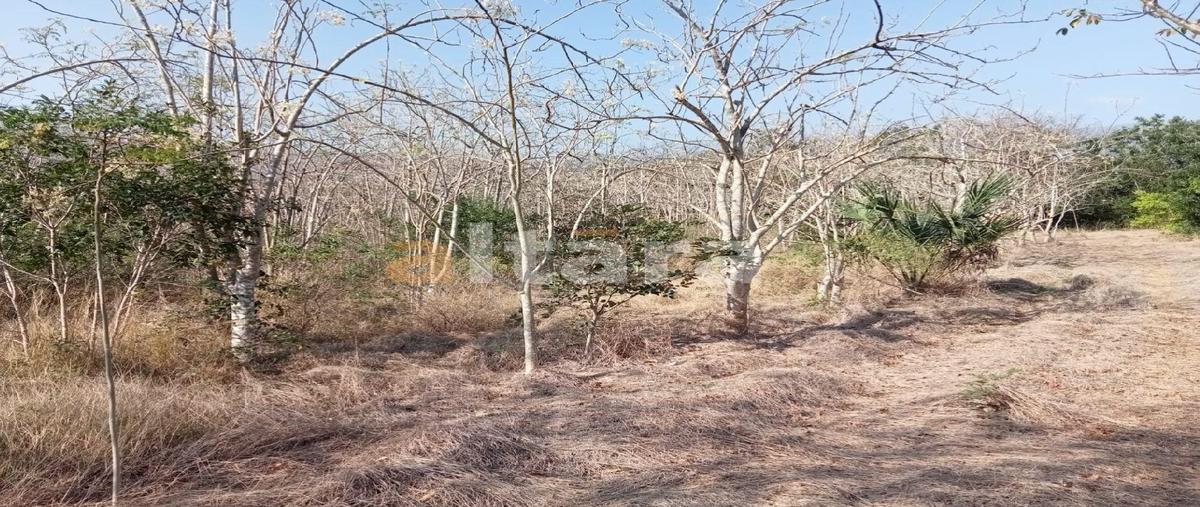 Foto de terreno habitacional en venta en  , llera de canales, llera, tamaulipas, 31471357 No. 03