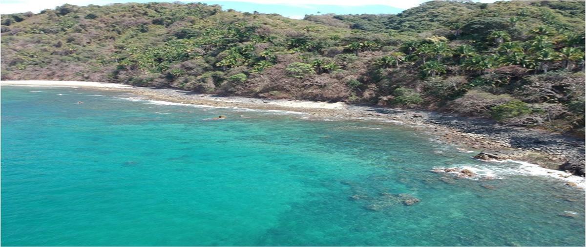 Foto de terreno habitacional en , lo de marcos, bahía de banderas, nayarit, 27366336 foto 04 Foto de terreno habitacional en venta en , lo de marcos, bahía de banderas, nayarit, 27366336 No. 04