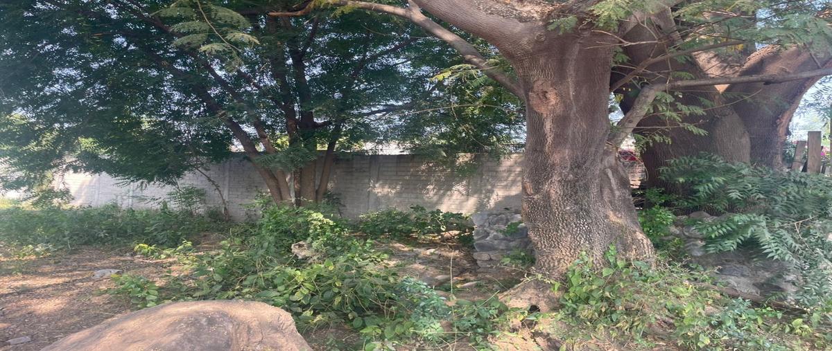 Foto de terreno habitacional en renta en  , lo de villa, colima, colima, 0 No. 04